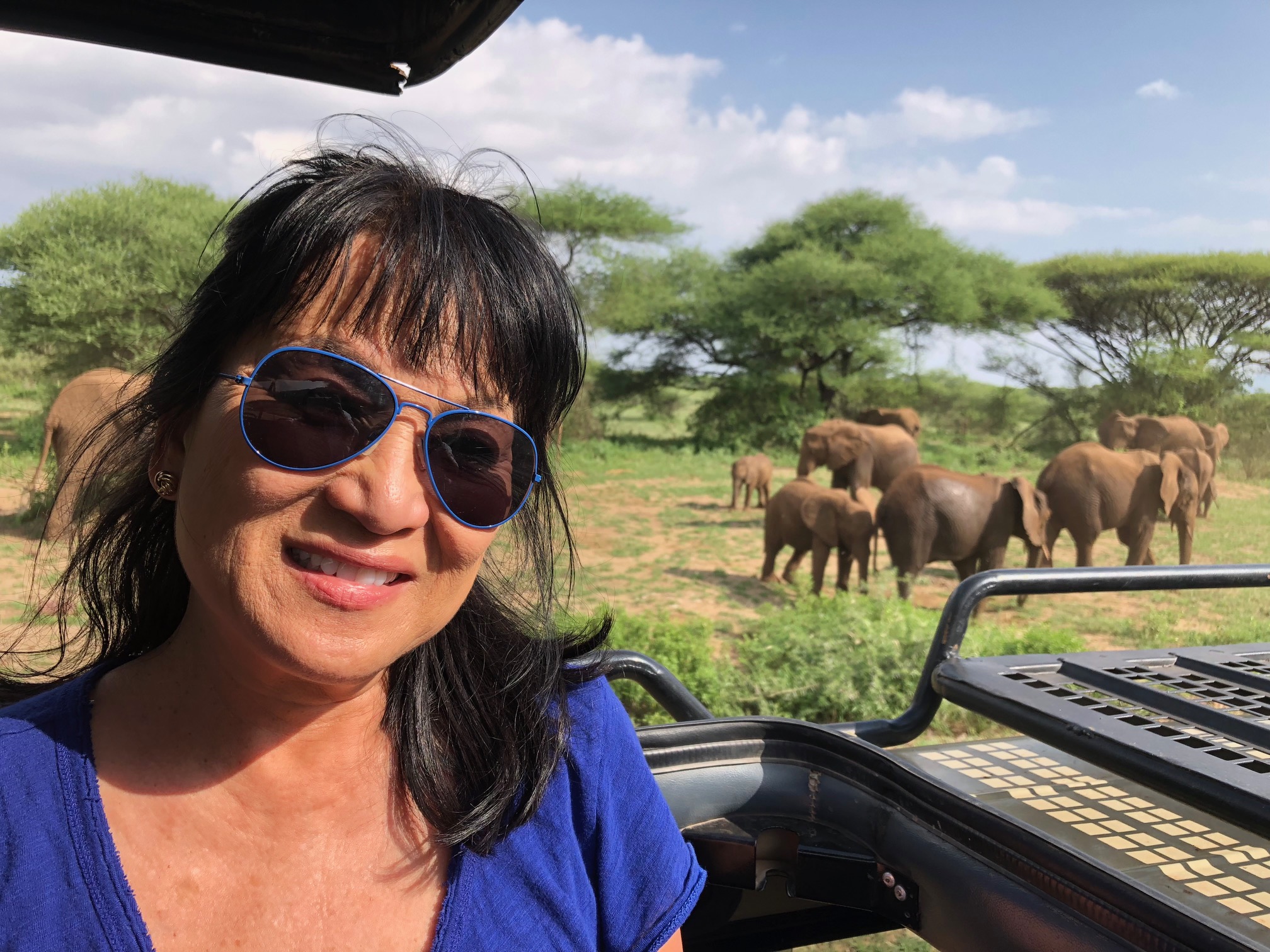Reed Safari guest smiling from the safari vehicle with an elephant herd behind her