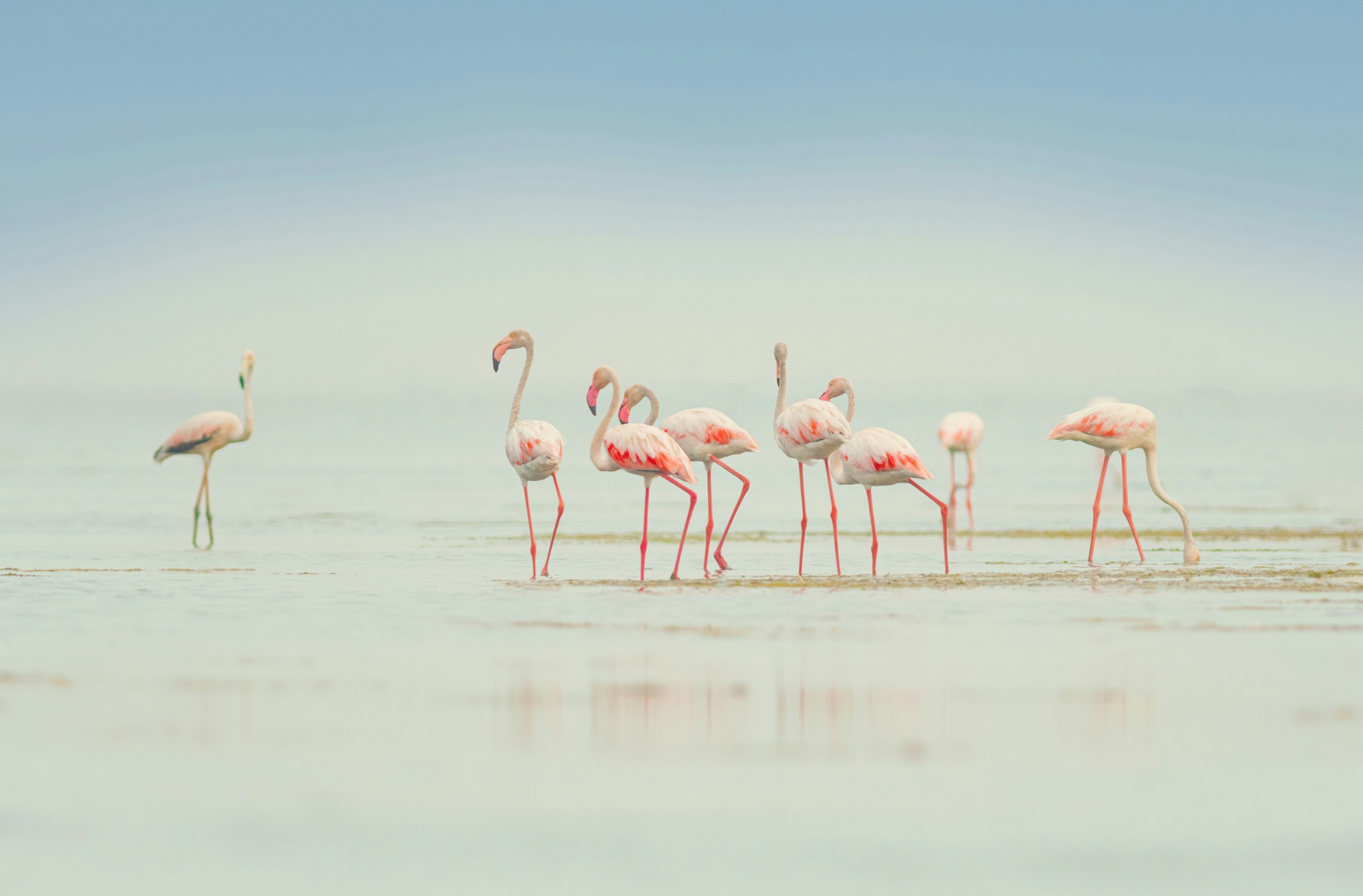 Lake Manyara, Tanzania